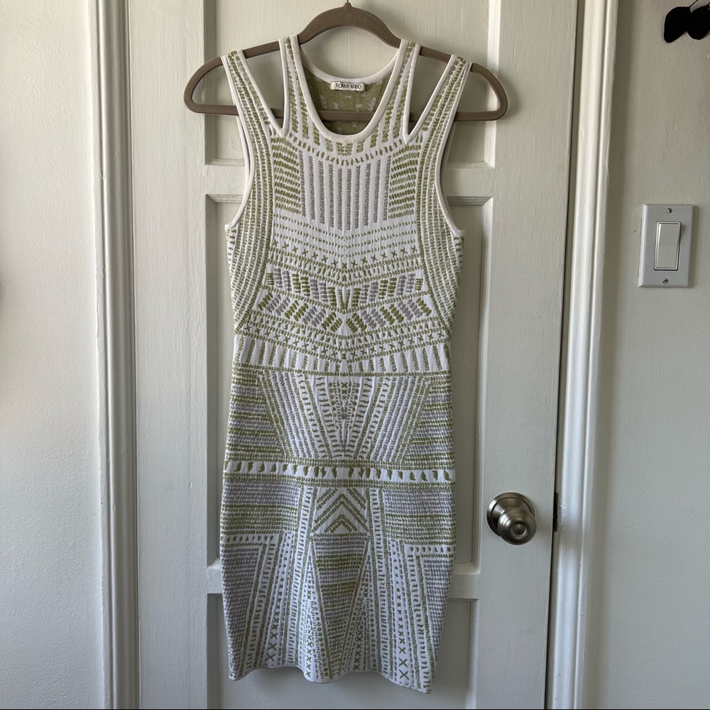 Ronny Kobo Bodycon Dress